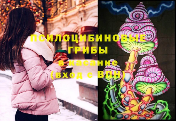 PSILOCYBIN Богородск
