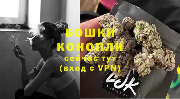 PSILOCYBIN Богородск