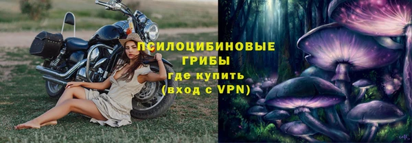 стаф Богородицк