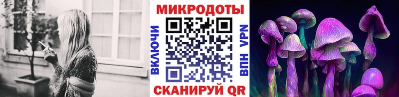 Псилоцибиновые грибы Psilocybe  Ува 